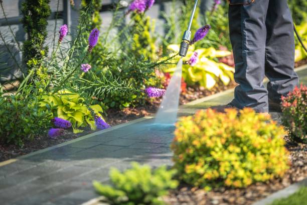 Best Post-Construction Pressure Washing  in San Clemente, CA