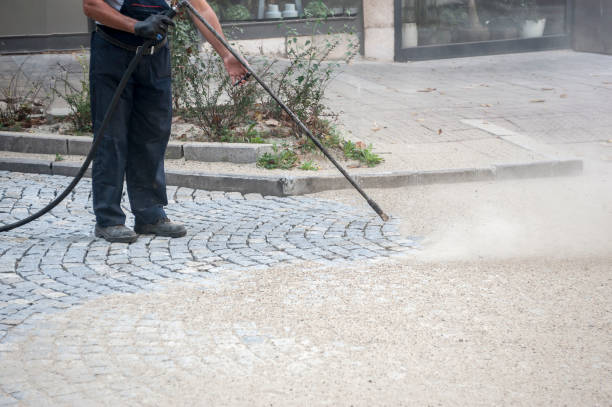 Animal Enclosure Cleaning in San Clemente, CA